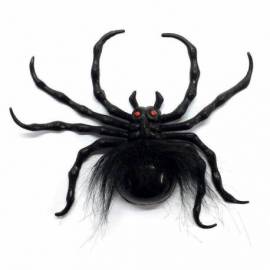 Grosse araignée de 20 cm avec une toile d&#039;araignée