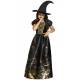 Costume sorcière spooky witch pour enfant