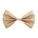 noeud papillon pailleté