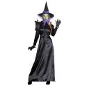 Costume sorcière raven