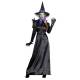 Costume sorcière raven
